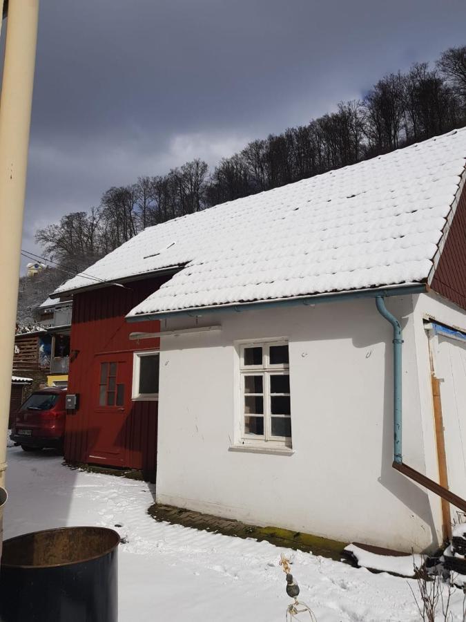 Ferienhaus Am Fluss Mit Traumhafter Dachterrasse ,Garten Und Grill Walkenried Exterior photo