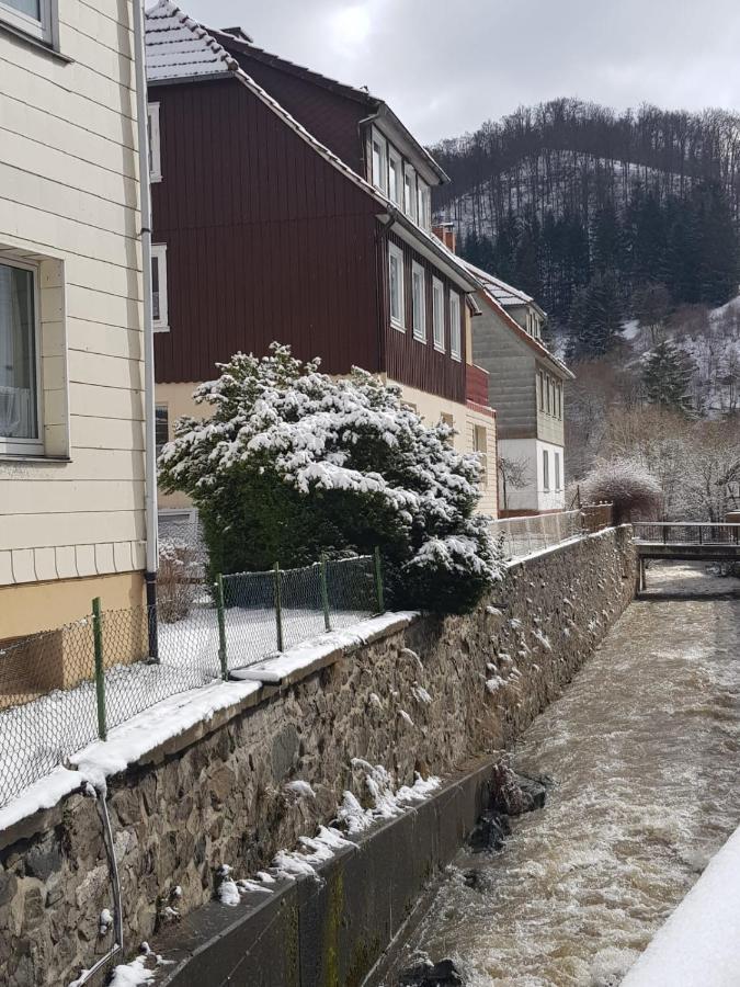 Ferienhaus Am Fluss Mit Traumhafter Dachterrasse ,Garten Und Grill Walkenried Exterior photo
