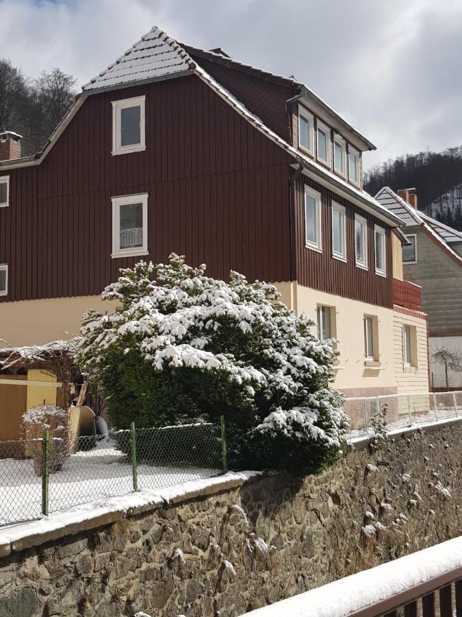 Ferienhaus Am Fluss Mit Traumhafter Dachterrasse ,Garten Und Grill Walkenried Exterior photo