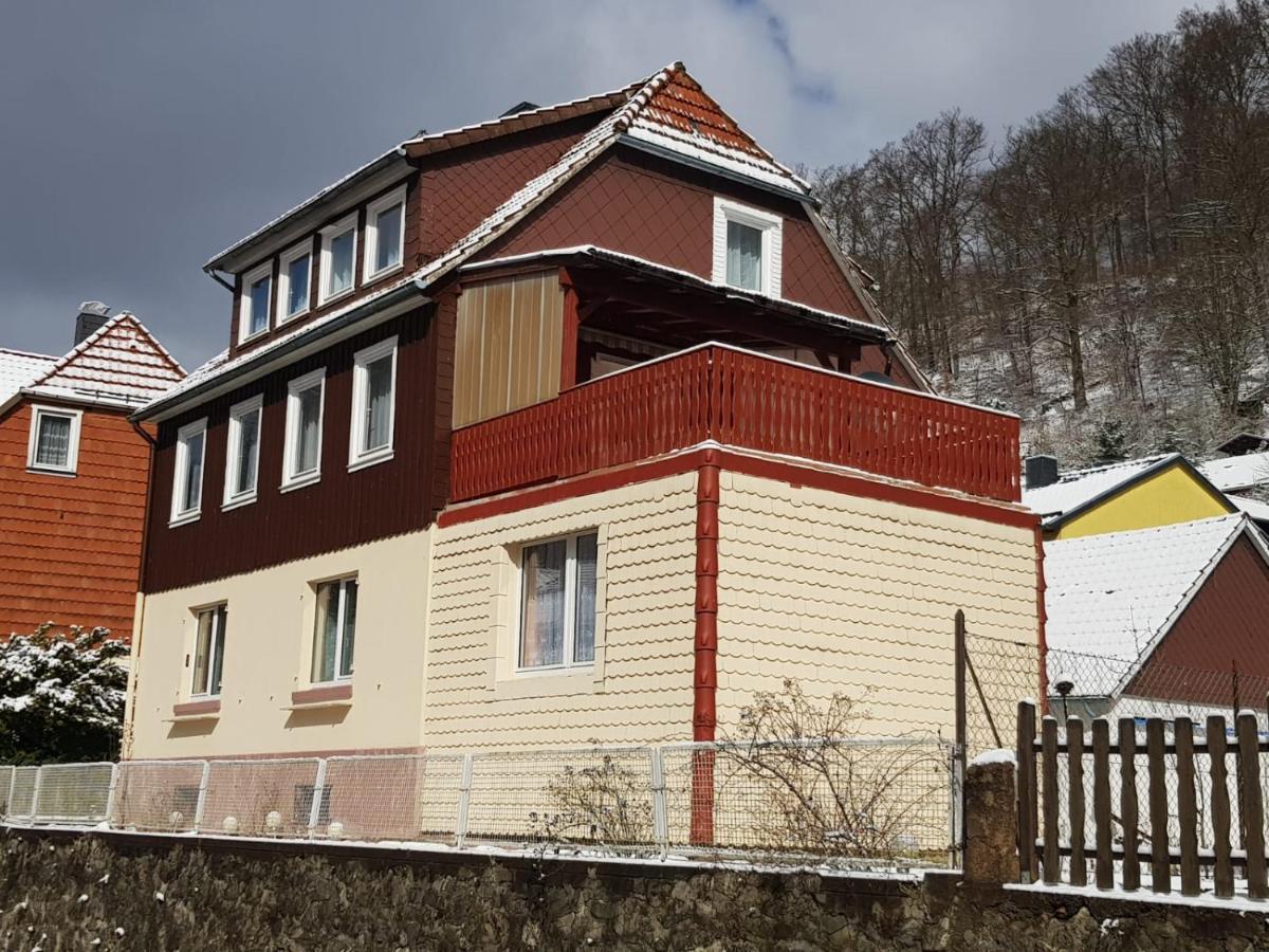Ferienhaus Am Fluss Mit Traumhafter Dachterrasse ,Garten Und Grill Walkenried Exterior photo