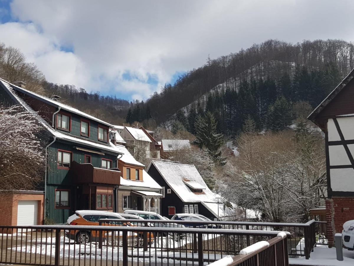 Ferienhaus Am Fluss Mit Traumhafter Dachterrasse ,Garten Und Grill Walkenried Exterior photo